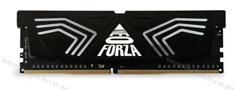 8GB 3000MHZ WITH HEATSINK