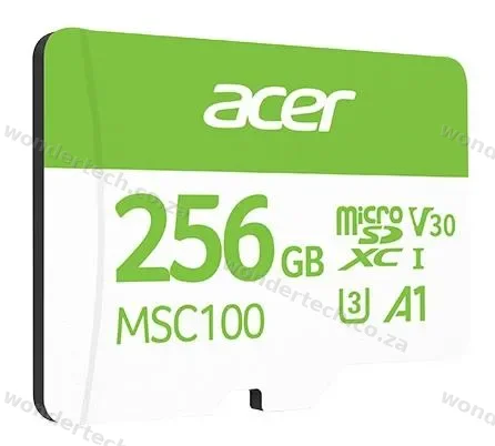 MICRO SD 256GB